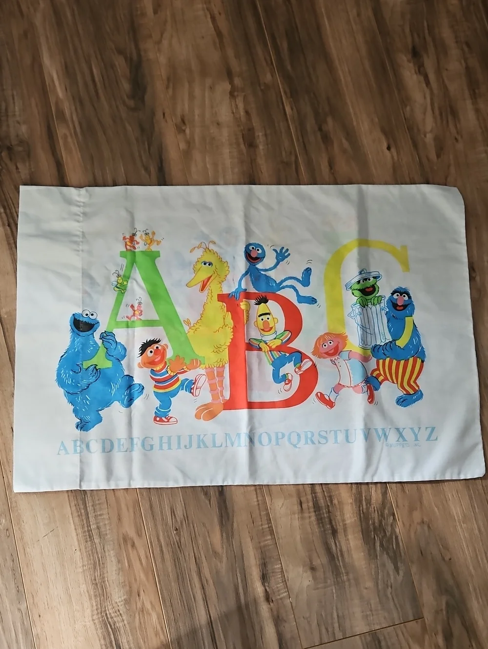 Muppets Kids Sesame Street ABC Pillowcase in White with Colorful Characters